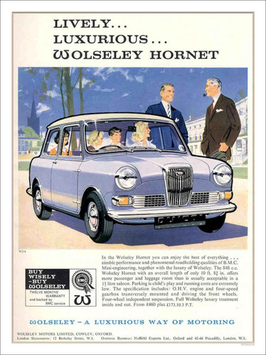 Wolseley hornet 1961 - wolseley,